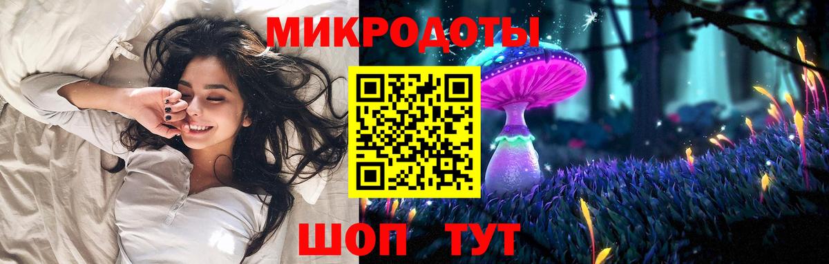 Норильск  Псилоцибиновые грибы Psilocybine cubensis  Вход с VPN 